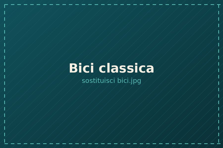 Bici classica a noleggio