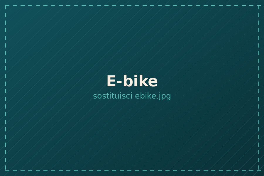 E-bike a noleggio