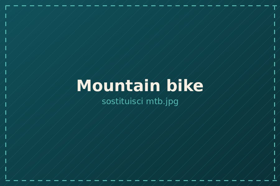 Mountain bike a noleggio